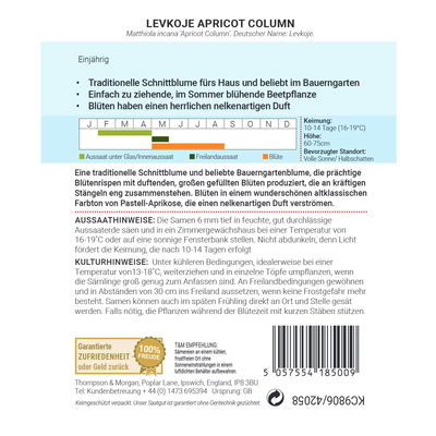 Blumensamen, Levkoje 'Apricot Column', pastell, 50 Stück Blumensamen, Levkoje 'Apricot Column', pastell, 50 Stück