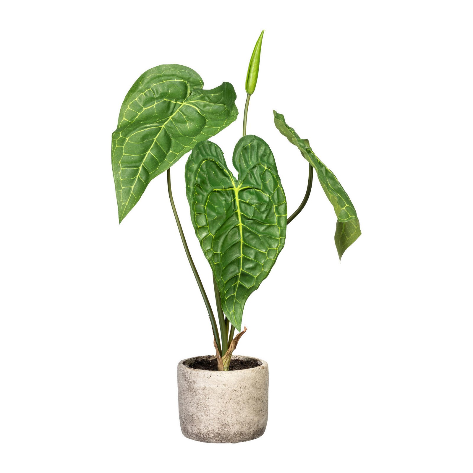 Kunstpflanze Anthurie, Höhe ca. 60 cm