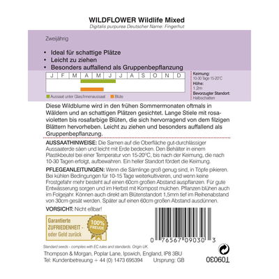 Wildblume Fingerhut / zweijährig, leicht zu ziehen, rosa-violett Wildblume Fingerhut / zweijährig, leicht zu ziehen, rosa-violett