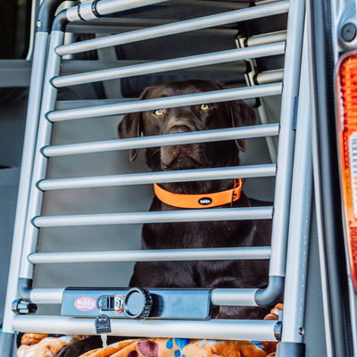 Nobby Auto-Transportbox 'Round Corner' XS, Aluminium Nobby Auto-Transportbox 'Round Corner' XS, Aluminium