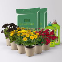 Pflanzenkreation 'WM-Edition', 6 Pflanzen inkl. Erde, Dünger und Wurzelkraft