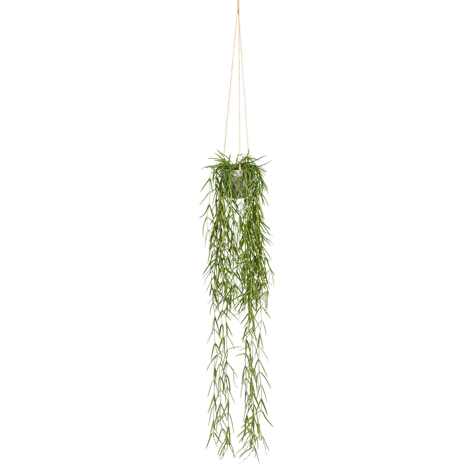 Kunstpflanze Tillandsia, Höhe ca. 90 cm