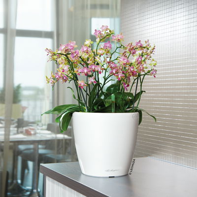 Lechuza 'Classico Premium LS 50', weiß, ca. Ø 50 x H 47 cm