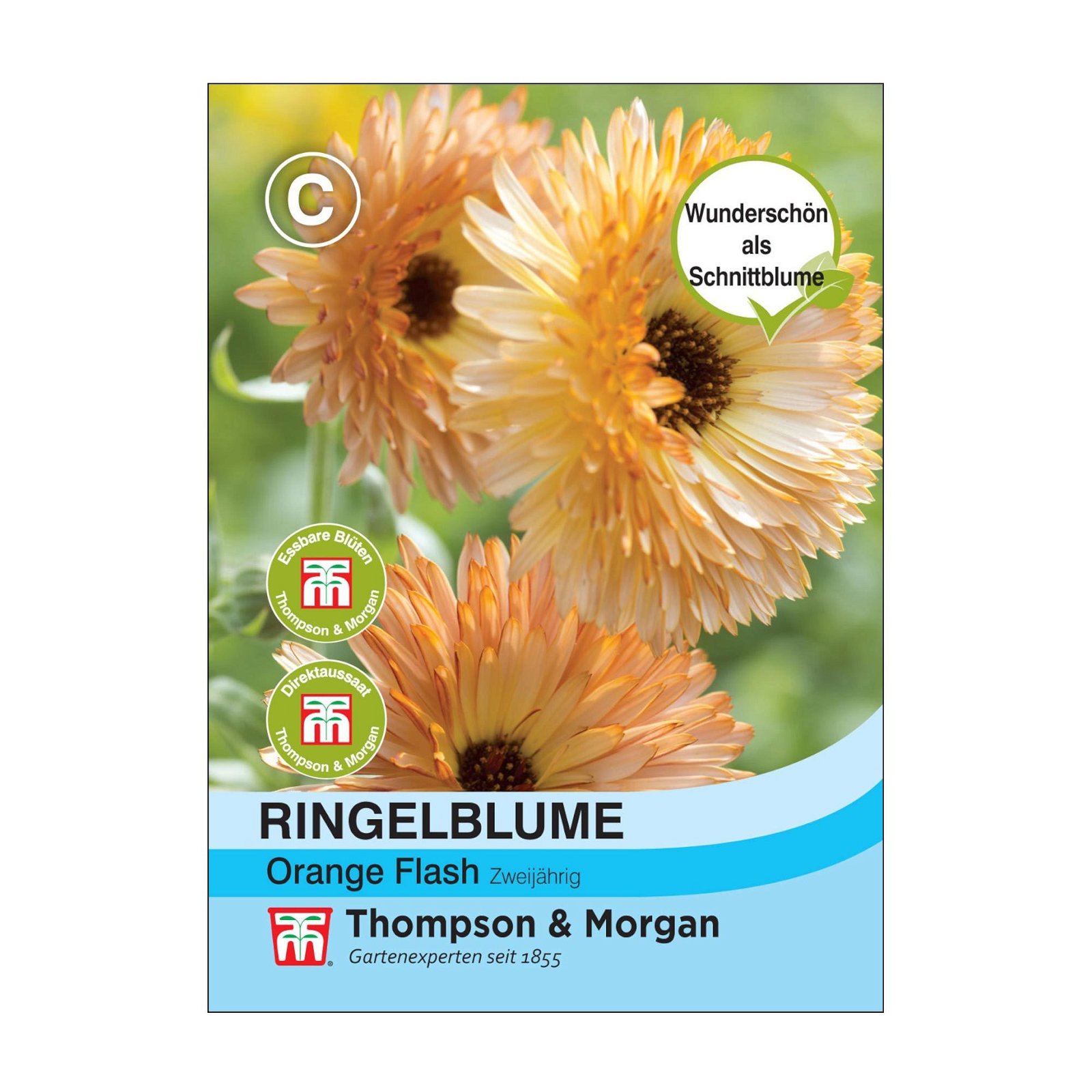 Ringelblume „Orange Flash“ (Calendula officinalis), Blüten in Orange, essbar, Safran-Ersatz