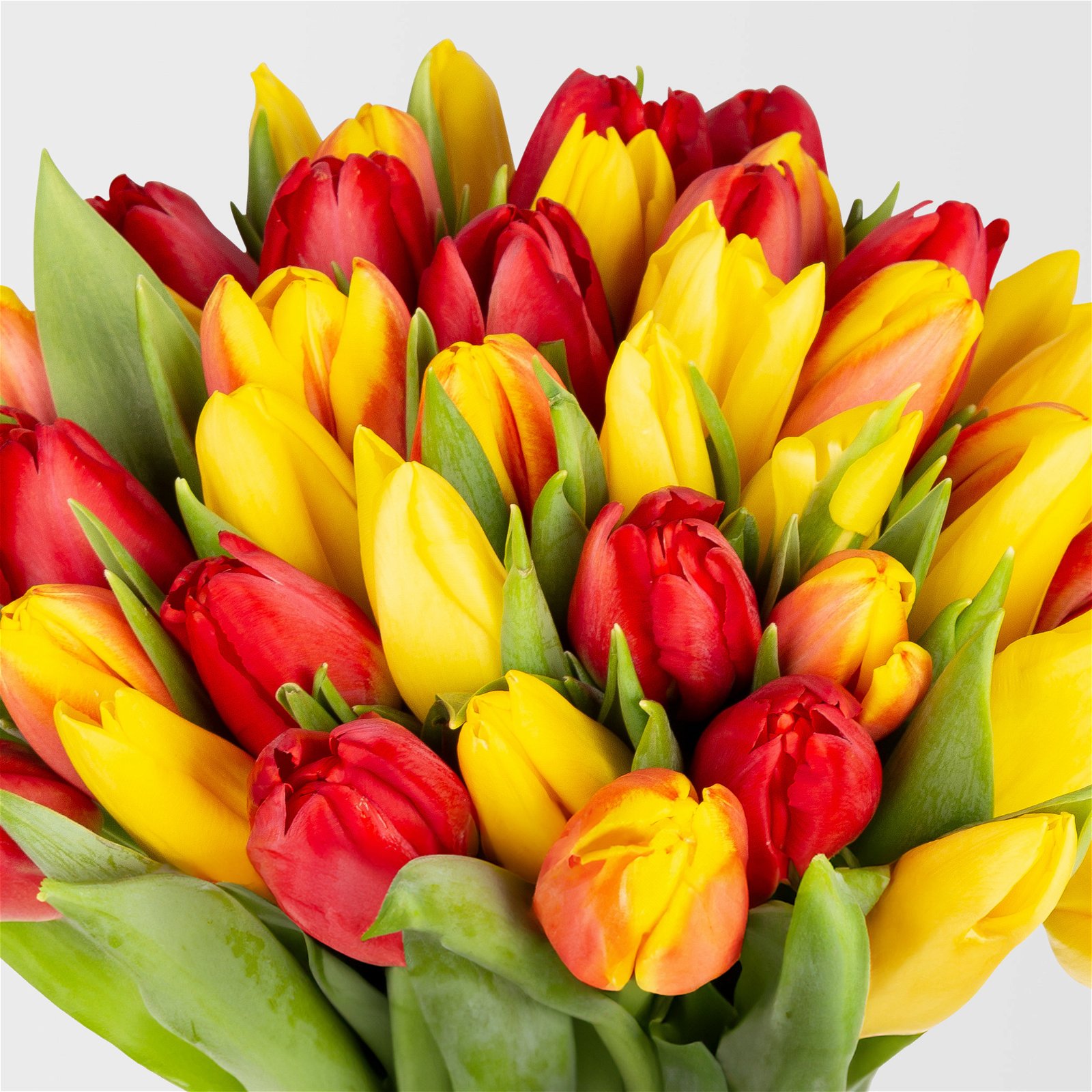 Blumenbund mit Tulpen, 50er-Bund, rot-gelb-orange/gelb, inkl. gratis Grußkarte