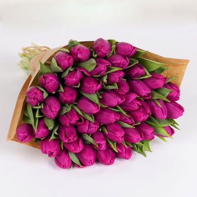 30 lila Tulpen 30 lila Tulpen