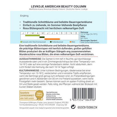 Blumensamen, Levkoje 'American Beauty Column', bunt, 50 Stück