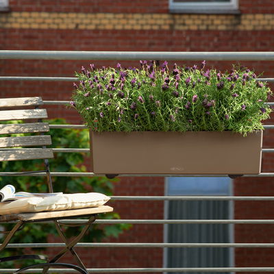 Lechuza 'Balconera Color 80', muskat, ca. 79 x 19 x H 19 cm Lechuza 'Balconera Color 80', muskat, ca. 79 x 19 x H 19 cm