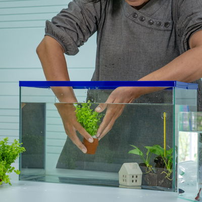 Gartenschule Gartenschule