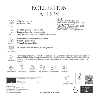 Kölles Beste Zierlauch-Kollektion, purpur-lila, 15 Blumenzwiebeln Kölles Beste Zierlauch-Kollektion, purpur-lila, 15 Blumenzwiebeln