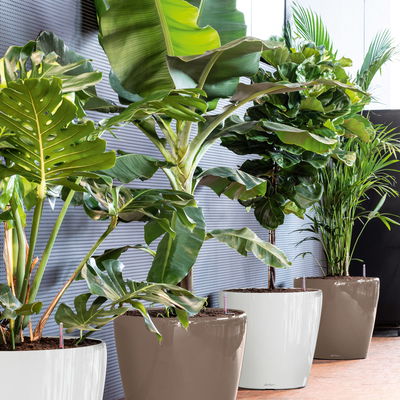 Lechuza 'Classico 60', weiß, ca. Ø 60 x H 55,5 cm