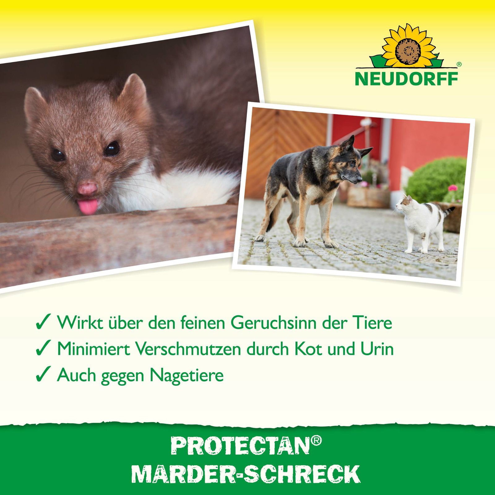 Neudorff Protectan® Marder-Schreck, 200 g Neudorff Protectan® Marder-Schreck, 200 g