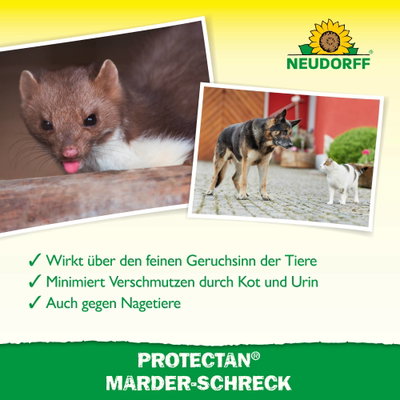Neudorff Protectan® Marder-Schreck, 200 g Neudorff Protectan® Marder-Schreck, 200 g