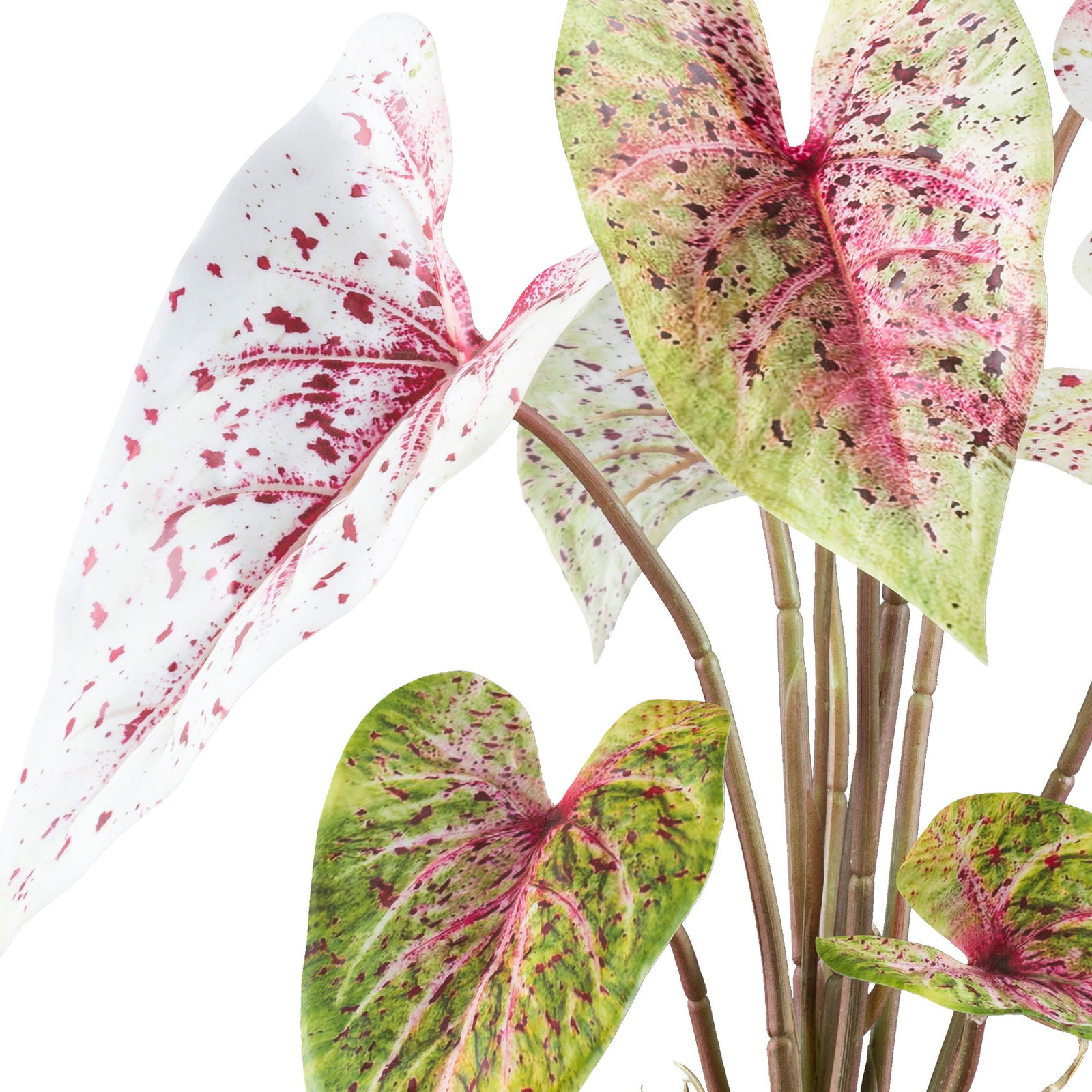 Kunstpflanze Caladium 'Miss Muffet' im Topf, Höhe ca. 55 cm