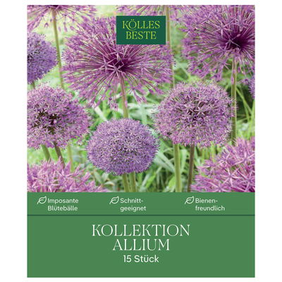 Kölles Beste Zierlauch-Kollektion, purpur-lila, 15 Blumenzwiebeln Kölles Beste Zierlauch-Kollektion, purpur-lila, 15 Blumenzwiebeln