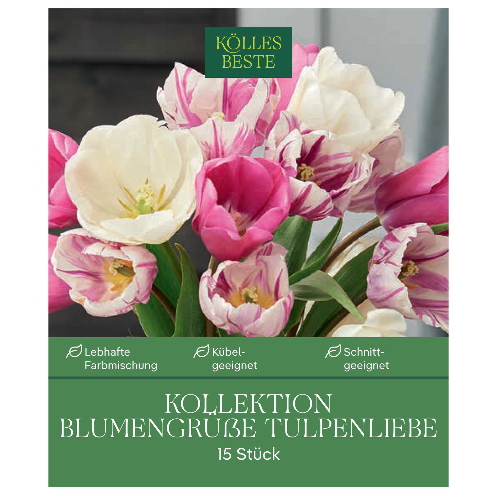 Kollektion Blumengrüße Tulpen Mischung, 15 Blumenzwiebeln