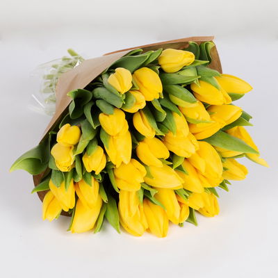 30 gelbe Tulpen