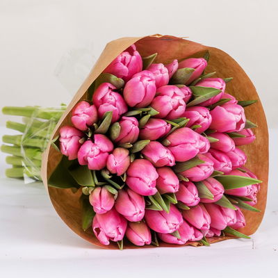 30 pinke Tulpen 30 pinke Tulpen