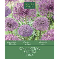 Kölles Beste Zierlauch-Kollektion, purpur-lila, 15 Blumenzwiebeln Kölles Beste Zierlauch-Kollektion, purpur-lila, 15 Blumenzwiebeln