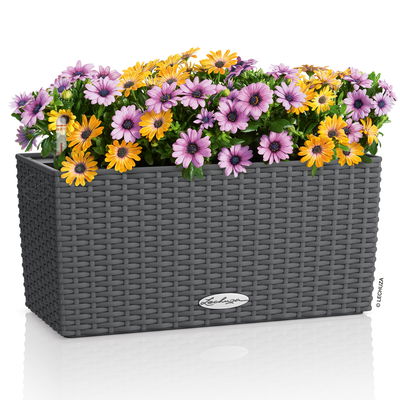 Lechuza 'Balconera Cottage 40', granit, ca. 40 x 19 x H 19 cm