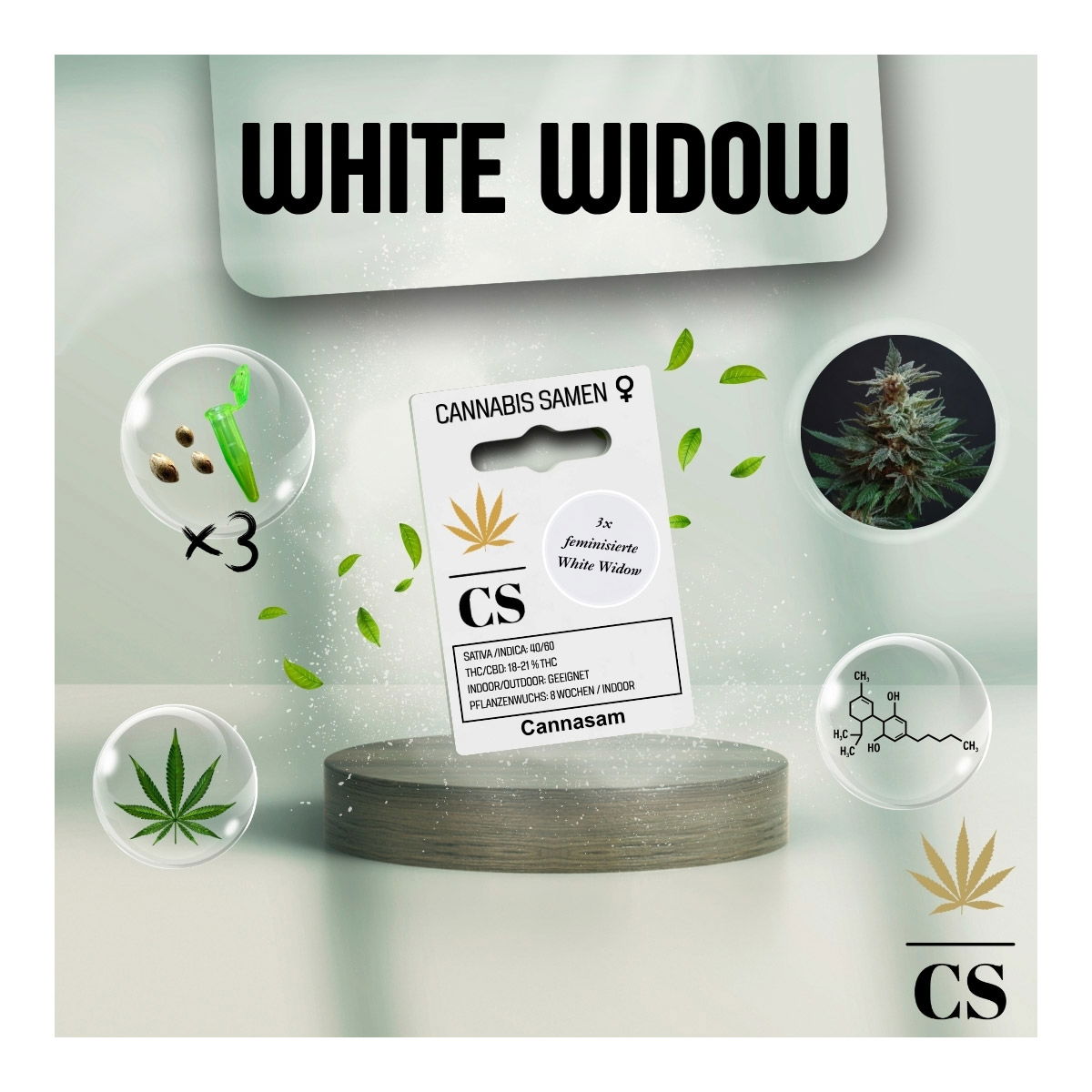 Cannabis Saatgut Hanf 'White Widow'