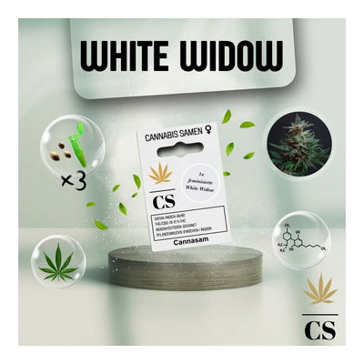 Cannabis Saatgut Hanf 'White Widow'