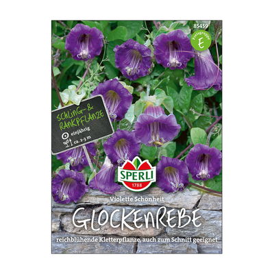 Blumensamen, Glockenrebe 'Violette Schönheit' Blumensamen, Glockenrebe 'Violette Schönheit'