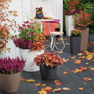 Lechuza 'Classico Color 28', schiefergrau, ca. Ø 27,5 x H 26 cm Lechuza 'Classico Color 28', schiefergrau, ca. Ø 27,5 x H 26 cm