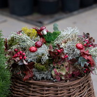 Gartenschule Kreativ Gartenschule Kreativ
