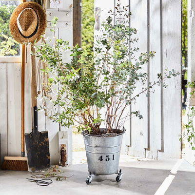 Multi Roller Sun City, Tragkraft 75 kg, Stahl, ca. 6 x 26,5-37,5 cm