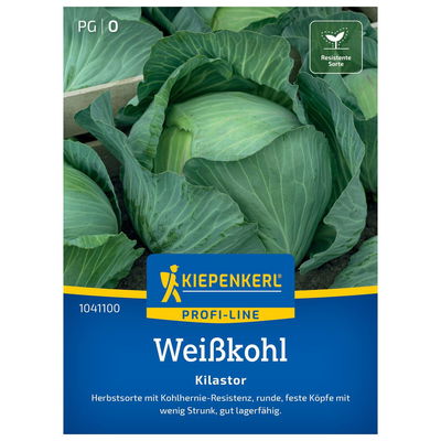Kiepenkerl Saatgut Weißkohl 'Kilastor®' weiß Kiepenkerl Saatgut Weißkohl 'Kilastor®' weiß