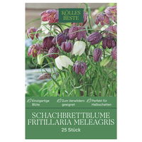 Schachbrettblume (Fritillaria Meleagris) lila/weiß, 25 Blumenzwiebeln