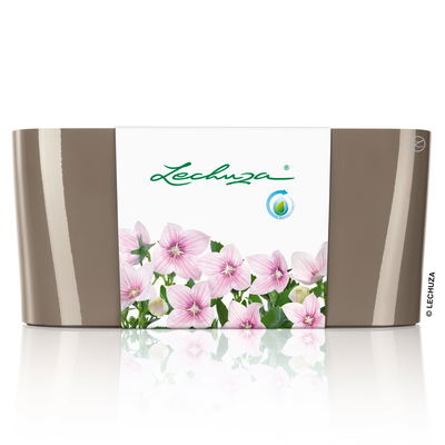 Lechuza 'Delta 20', taupe, ca. 40 x 15 x H 18 cm