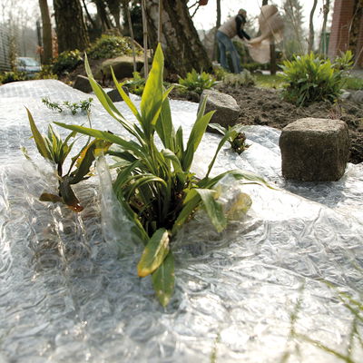 Kölle Luftpolsterfolie