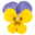 Hornveilchen 'Yellow Blue Jump up' gelb-lila, Topf-Ø 13 cm, 6 Pflanzen