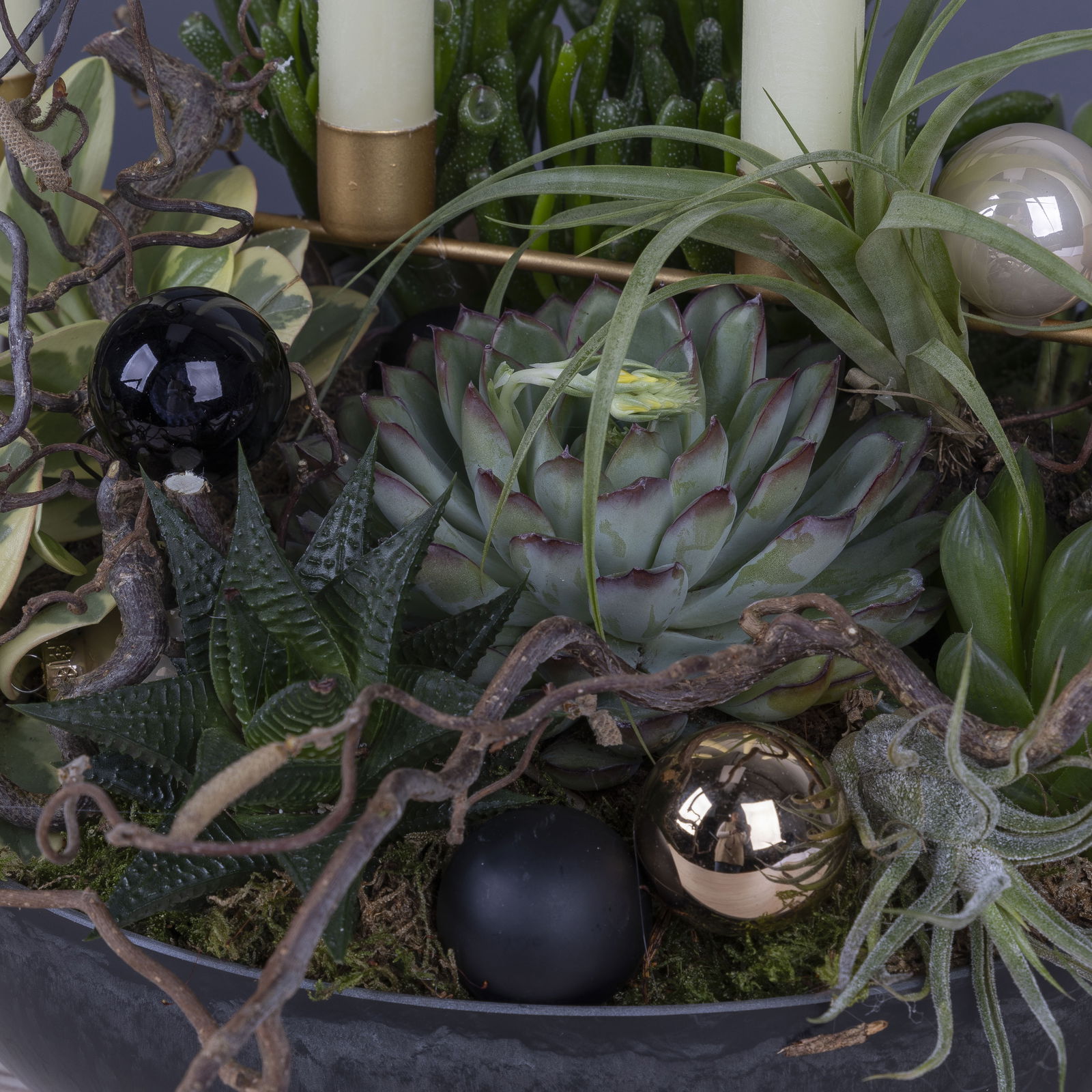 Online Kreativ-Kurs 