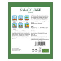 Kölles Beste Gemüsesamen, Landgurke 