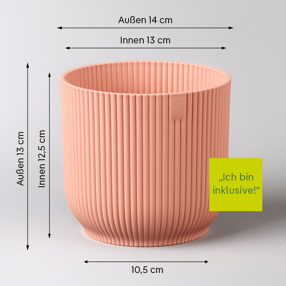 Einblatt 'Bellini', weiß, Topf-Ø 13 cm, in Übertopf Vibes rosa, 2 Pflanzen Einblatt 'Bellini', weiß, Topf-Ø 13 cm, in Übertopf Vibes rosa, 2 Pflanzen