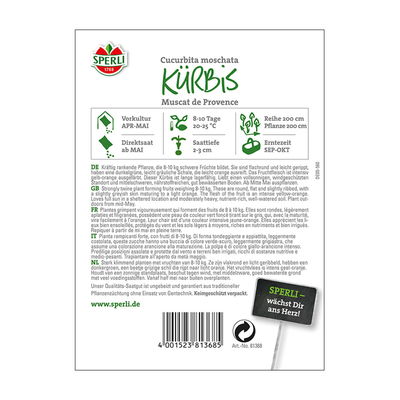 Gemüsesamen, Kürbis 'Muscat de Provence'