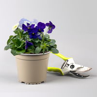 Frühlingmix, blau, Topf-Ø 13 cm, 6 Pflanzen