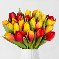 Blumenbund mit Tulpen, 30er-Bund, rot - orange - gelb, inkl. gratis Grußkarte