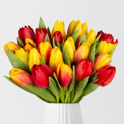 30 Tulpen, rot, orange & gelb 30 Tulpen, rot, orange & gelb