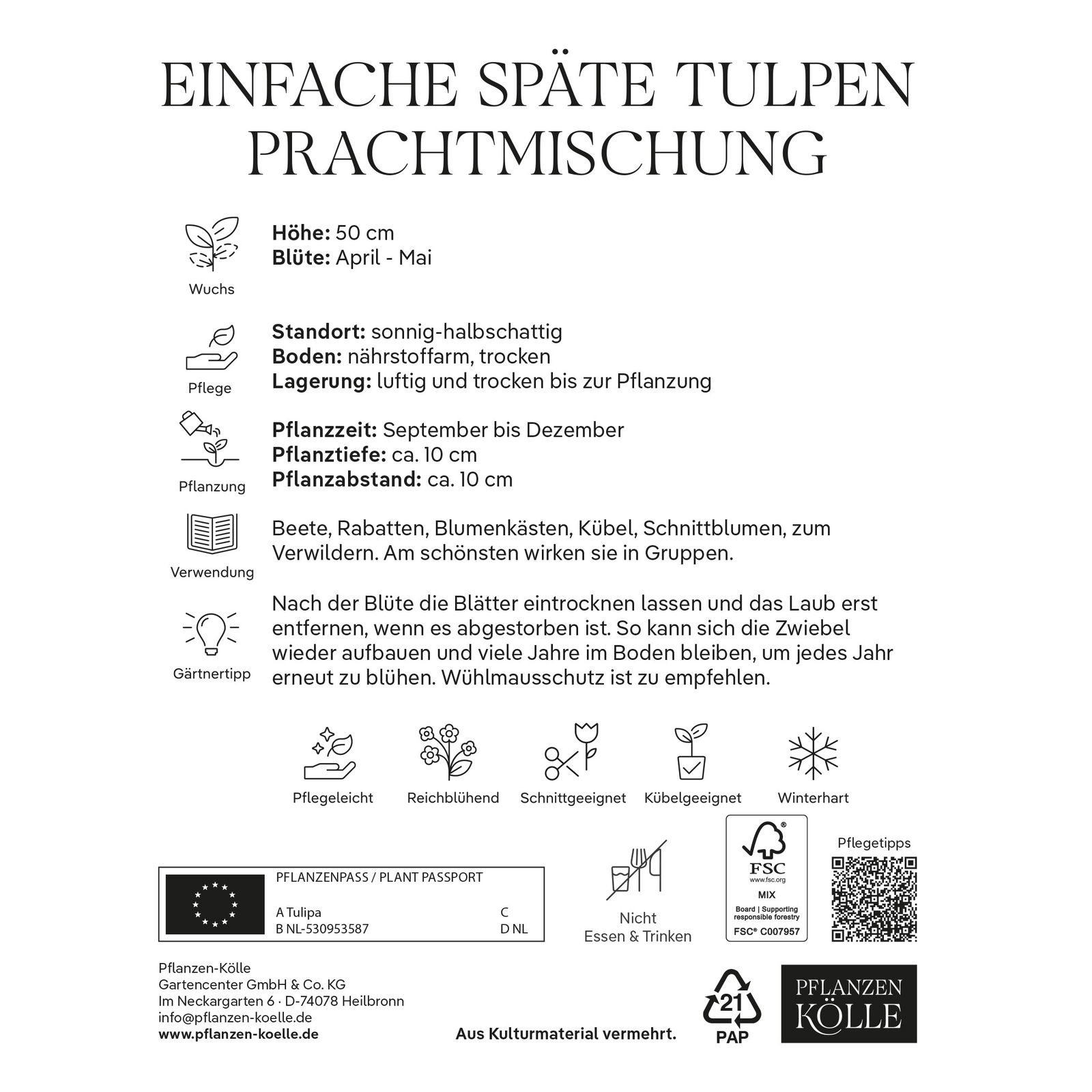 Einfache späte Tulpen Prachtmischung, 20 Blumenzwiebeln