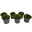 Moos-Steinbrech rot, Topf-Ø 13 cm, 6er-Set