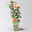 Duftende Edelrose 'Capri'®, orange-aprikot, Topf 5 Liter
