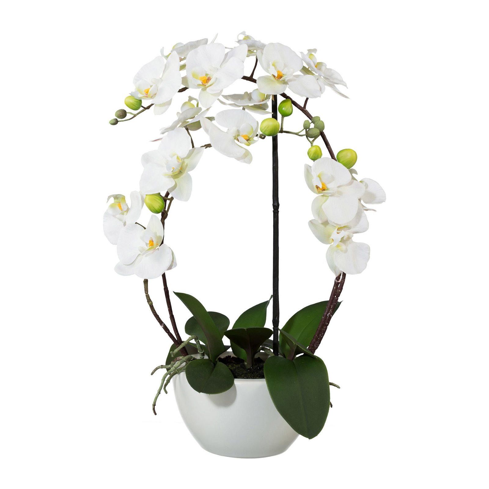 Kunstpflanze Phalaenopsis 'Real Touch', weiß, Topf-Ø 18 cm, Höhe ca. 52 cm