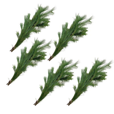 Seidenkiefer im Handbund, ca. 60-80 cm lang, 5 Bund Seidenkiefer im Handbund, ca. 60-80 cm lang, 5 Bund