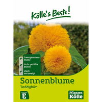 Kölle's Beste Blumensamen Sonnenblume 