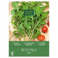 Kölles Beste Kräutersamen, Rucola 'Ruca'