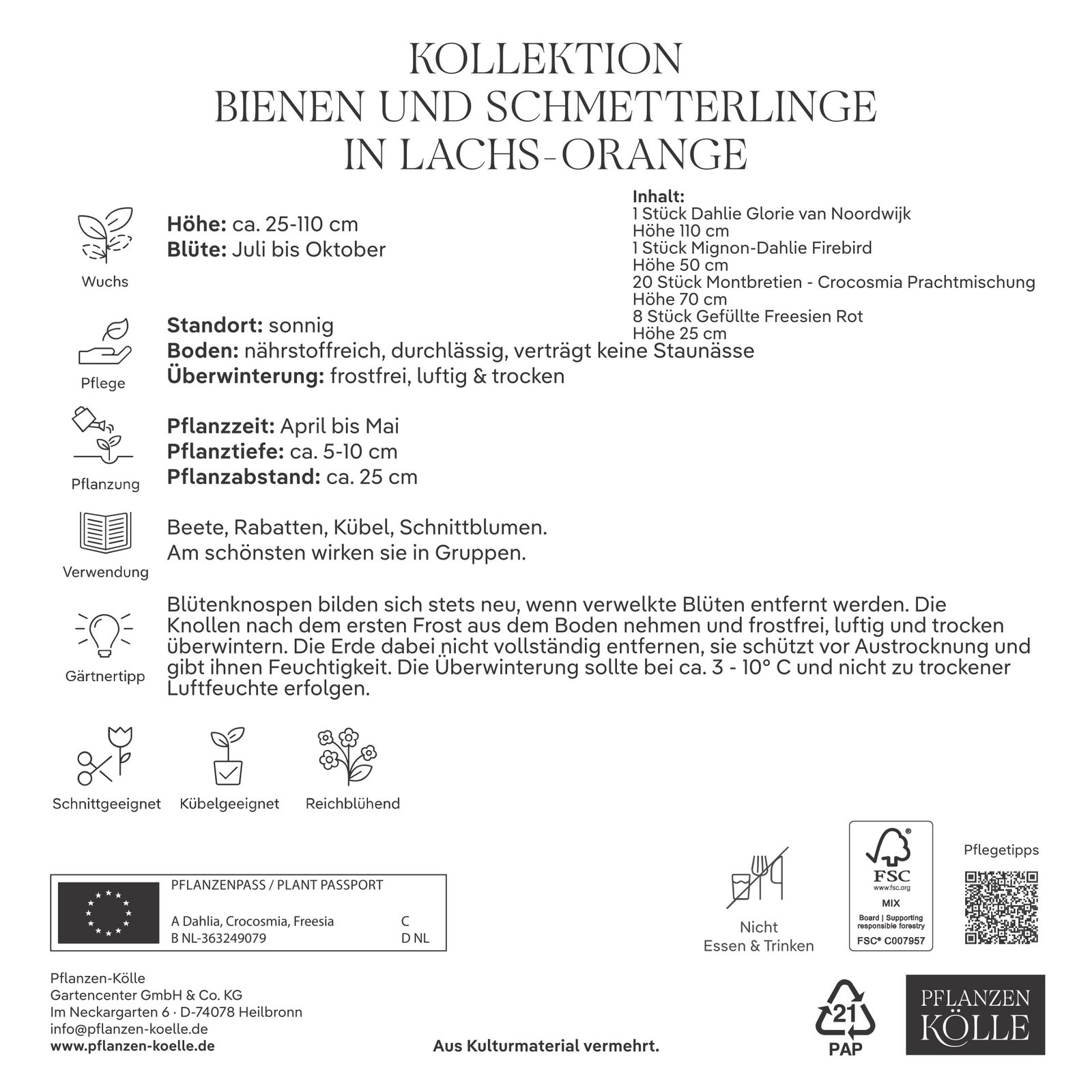 Kölles Beste Kollektion Bienen & Schmetterlinge Mischung, 30 Blumenknollen